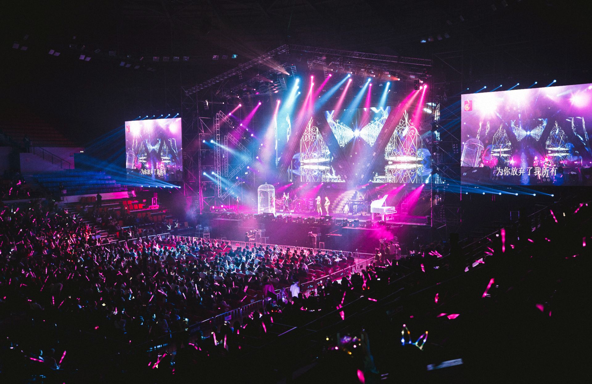 Concerts & festivals
